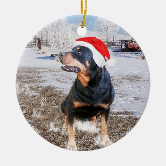 Rottweiler Schnee Weihnachtsfeiertag Ornament (Vorne)