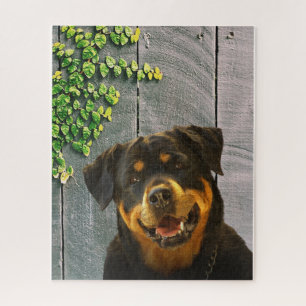 Rottweiler Smiling Jigsaw Puzzle