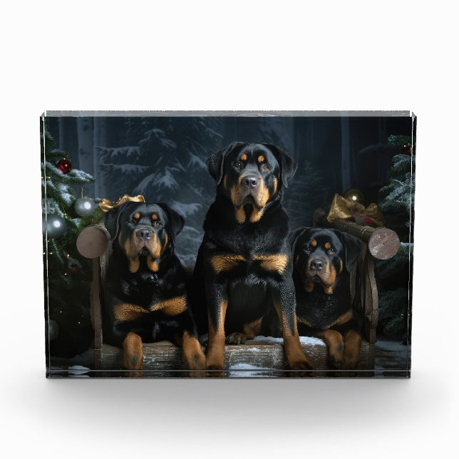 Rottweiler Snowy Sleigh Weihnachtsdekor Fotoblock (Vorderseite)