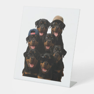 Rottweiler Sockelschild