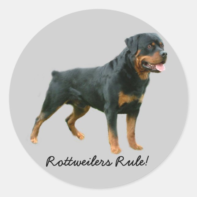 Rottweiler Sticker (Vorderseite)