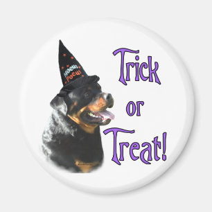 Rottweiler Trick Magnet
