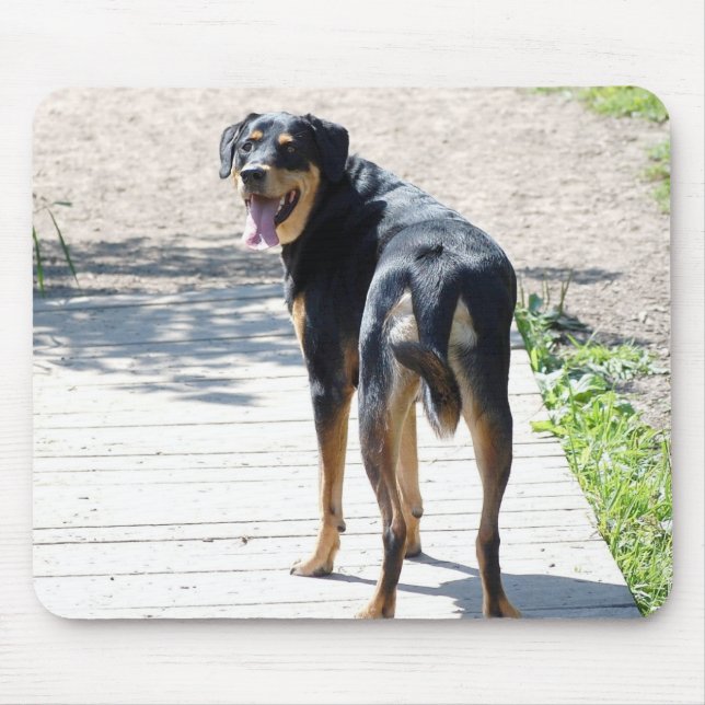 Rottweiler und Schäferhund-Kreuz Mousepad (Vorne)