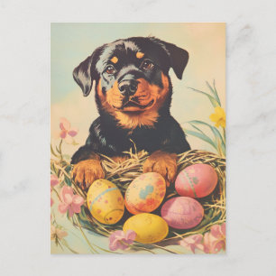 Rottweiler Vintag Ostern Postkarte