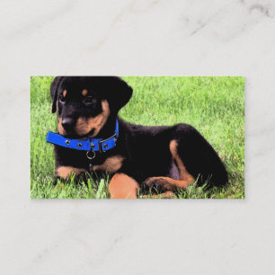 Rottweiler Visitenkarte