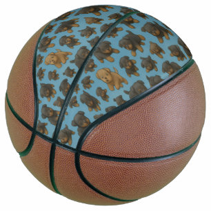 Rottweiler-Wahnsinn Basketball