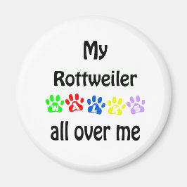Rottweiler Walks Design Magnet