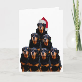 Rottweiler Weihnachten