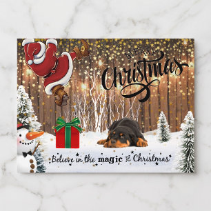 Rottweiler, Weihnachtsmann, Weihnachtspostkarte Feiertagspostkarte