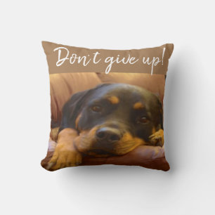 Rottweiler Welpe gibt nicht auf Kissen
