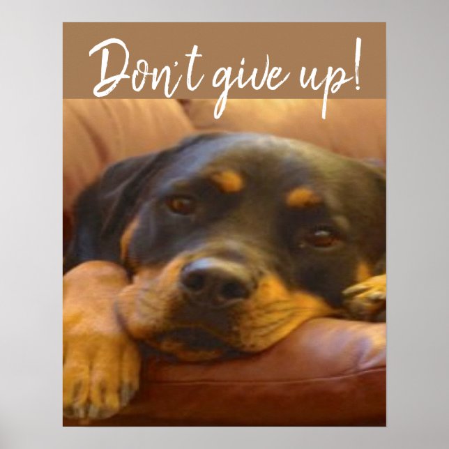 Rottweiler Welpe gibt nicht auf Poster (Vorne)