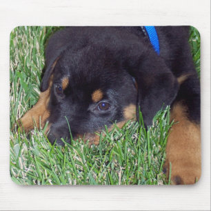 Rottweiler-Welpe. Mousepad