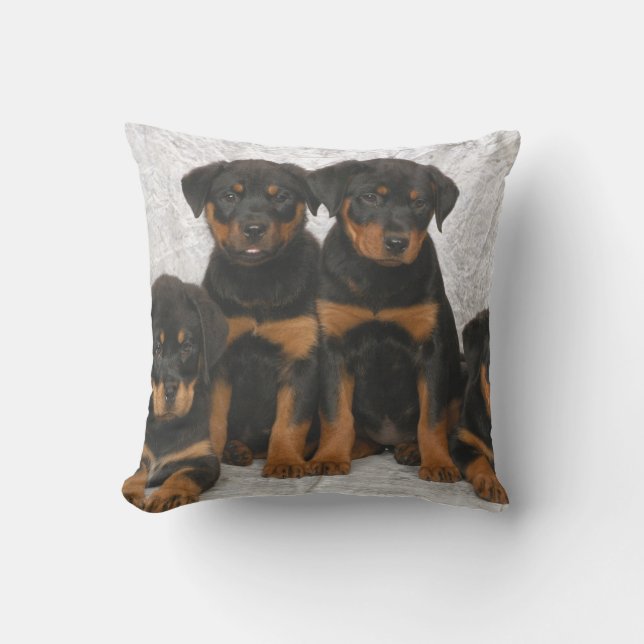 Rottweiler Welpen Kissen (Vorderseite)