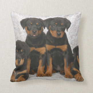 Rottweiler Welpen Kissen