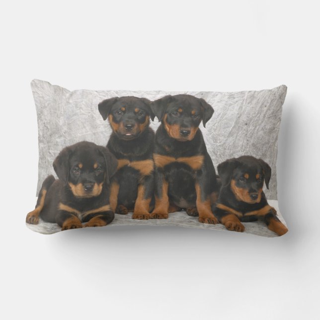 Rottweiler Welpen Lendenkissen (Vorderseite)