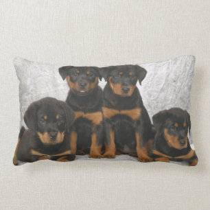 Rottweiler Welpen Lendenkissen