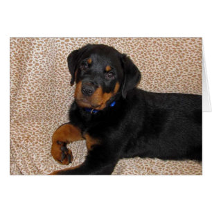 Rottweiler-Welpengrüßkarte