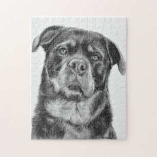 Rottweiler Zeichnen
