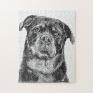 Rottweiler Zeichnen