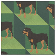 Rottweiler zu den Grünen Kuben