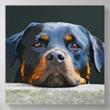 Rottwelier