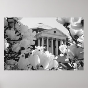 Rotunda und Blume Poster