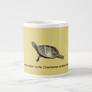 Rotwangen-Schmuckschildkröte Jumbo-Tasse
