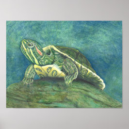 Rotwangen-Schmuckschildkröten-Plakat Poster