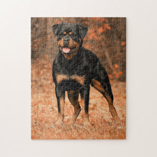 Rotweiler
