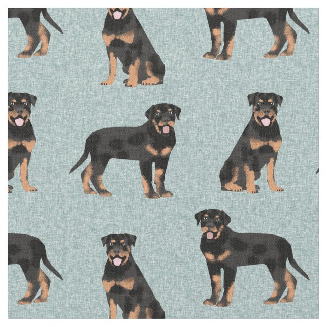Rotweiler-Hund Stoff (Nahaufnahme)