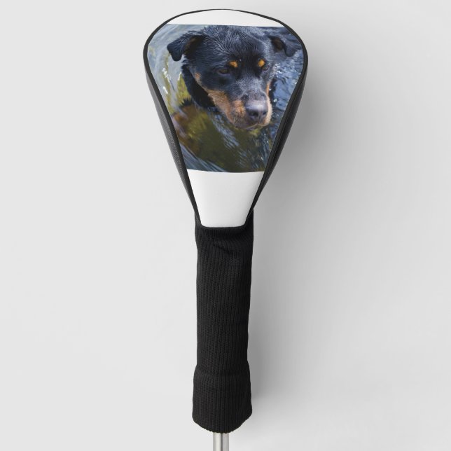 Rotweiler in Wasser Golf Headcover (Vorderseite)