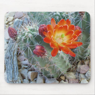 Rotwein-Schalen-Kaktus-Blume Mousepad
