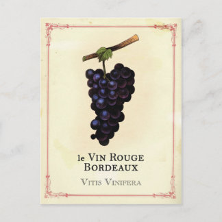 Rotweintrauben Bordeaux Postkarte