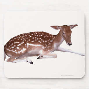Rotwild 2 mousepad