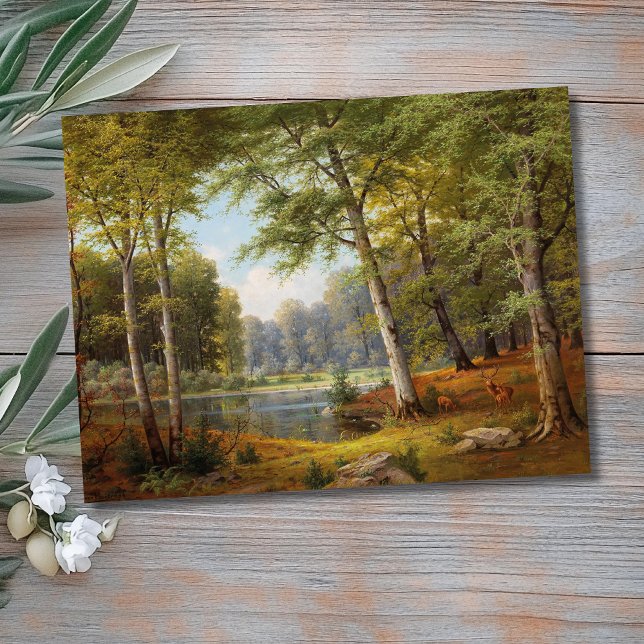 Rotwild am Waldteich Postkarte (Von Creator hochgeladen)