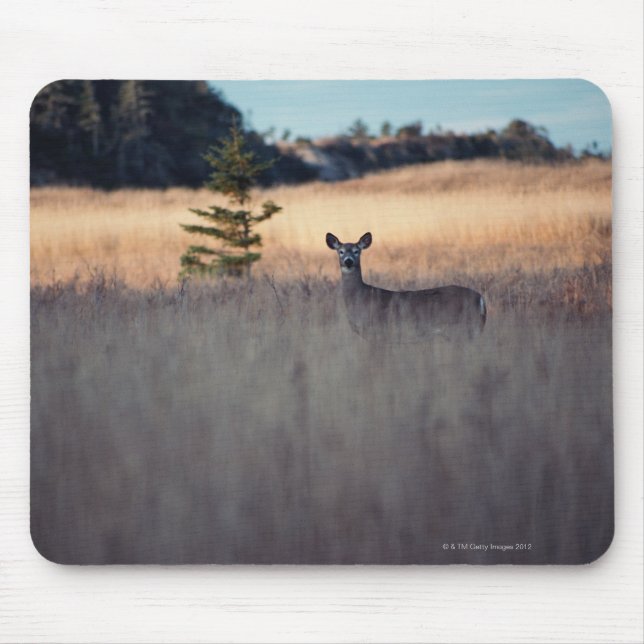 Rotwild auf dem Gebiet Mousepad (Vorne)