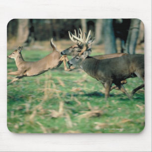 Rotwild, die in Wald laufen Mousepad