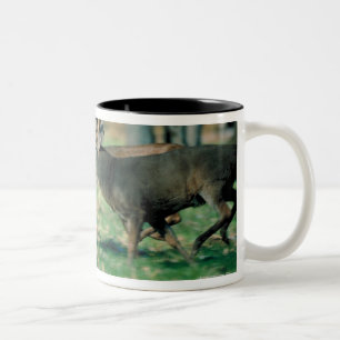 Rotwild, die in Wald laufen Zweifarbige Tasse