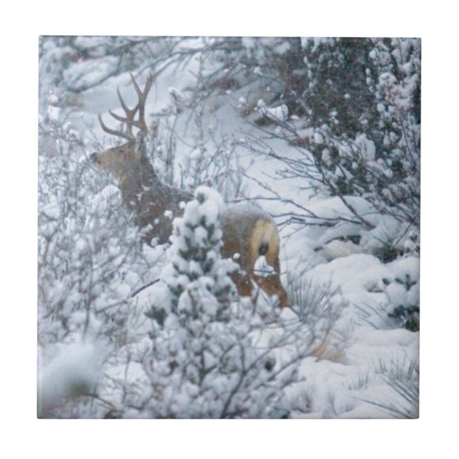 Rotwild im Schnee Fliese (Vorderseite)