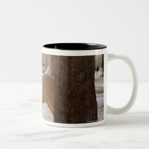 Rotwild in der Stadt Zweifarbige Tasse