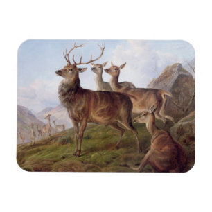 Rotwild in einer Hochland-Landschaft, 1872 (Öl Magnet