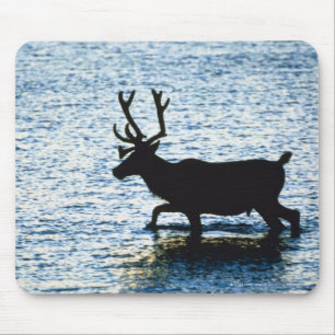 Rotwild Mousepad