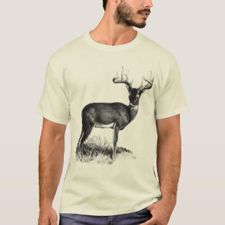 Rotwild T-Shirt