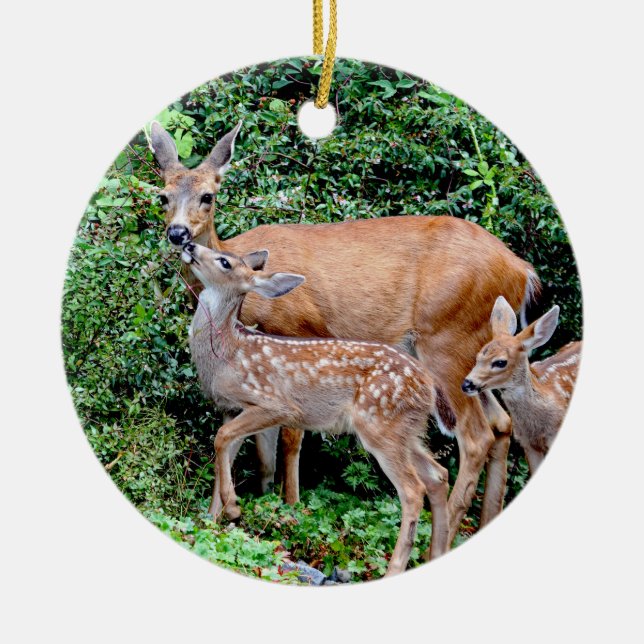 Rotwild und Doppelkitz-Tier-Familie Keramik Ornament (Vorne)