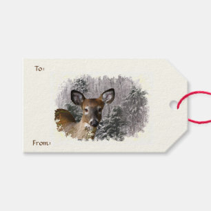 Rotwild und eisiger Hügel-Satz Geschenk-Umbauten Geschenkanhänger