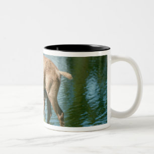 Rotwildkrankenpflegenachkommenschaft Zweifarbige Tasse