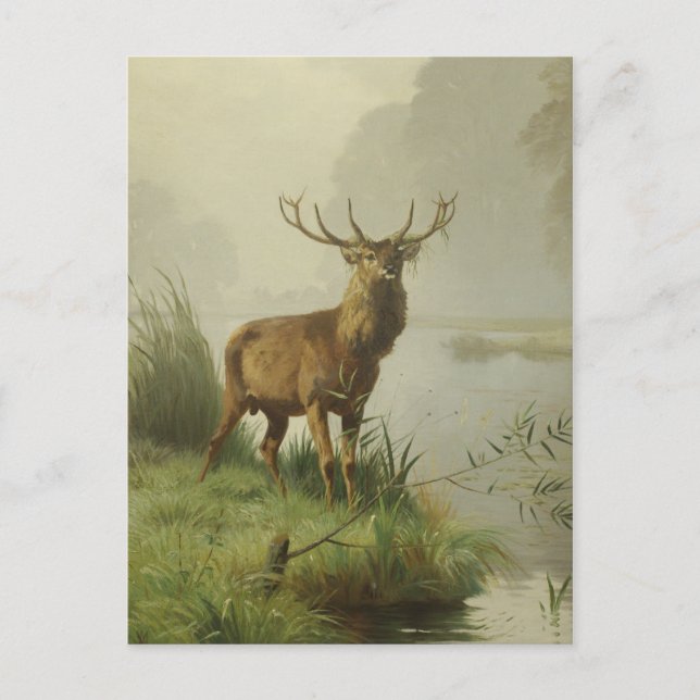 Rotwildmalerei Postkarte (Vorderseite)