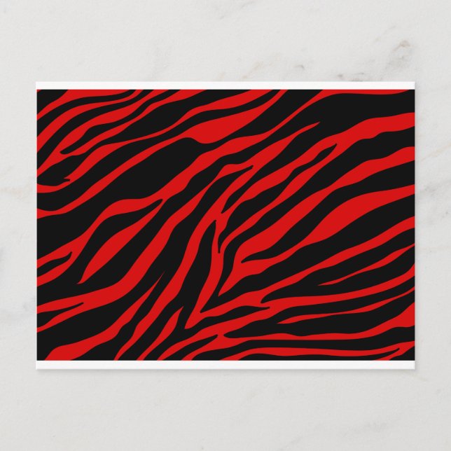 Rotzebra Postkarte (Vorderseite)