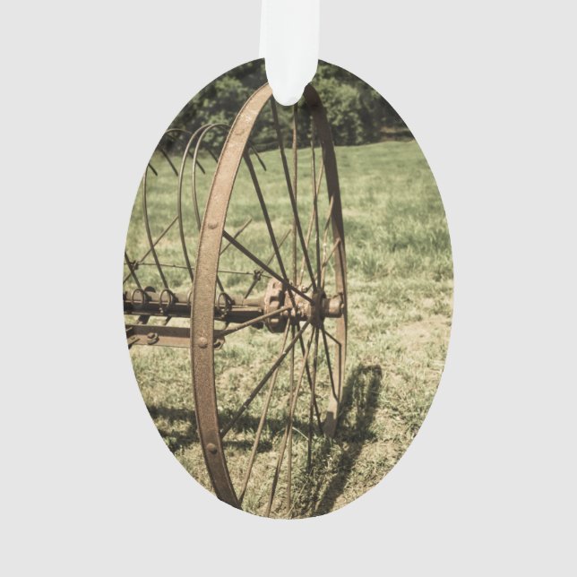 Roue du râteau de foin vieilli (dos)