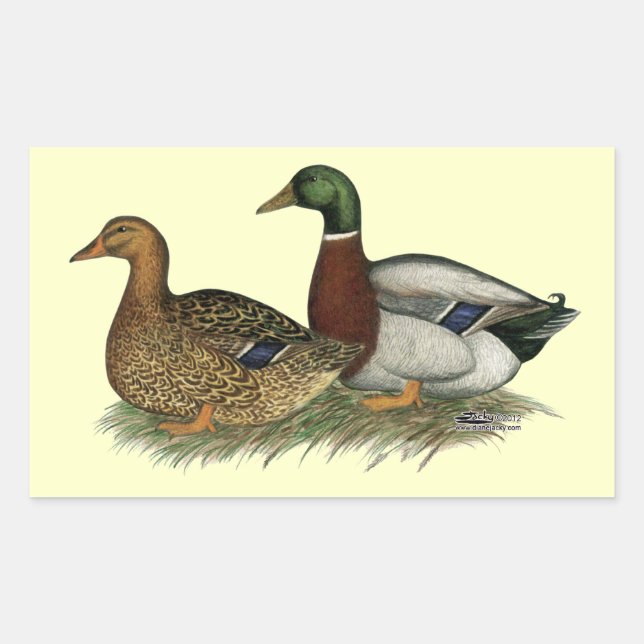 Rouen Ducks Rechteckiger Aufkleber (Vorderseite)